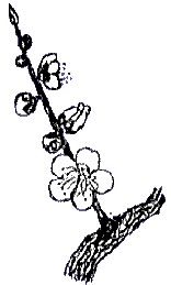anata1.GIF