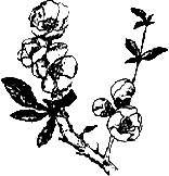 anata1.gif