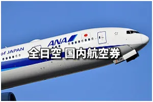 ANA(全日空） 国内 格安航空券