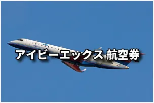 IBEX(アイビーエックス） 国内 格安航空券