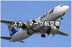 SKY(スカイマーク） 国内 格安航空券